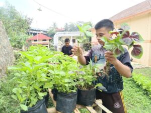 Sayuran Organik dan Hidroponik Kembali Hadirkan Manfaat Untuk Santri Yatim Penghafal Quran Pesantren Al Hilal 1 Cililin