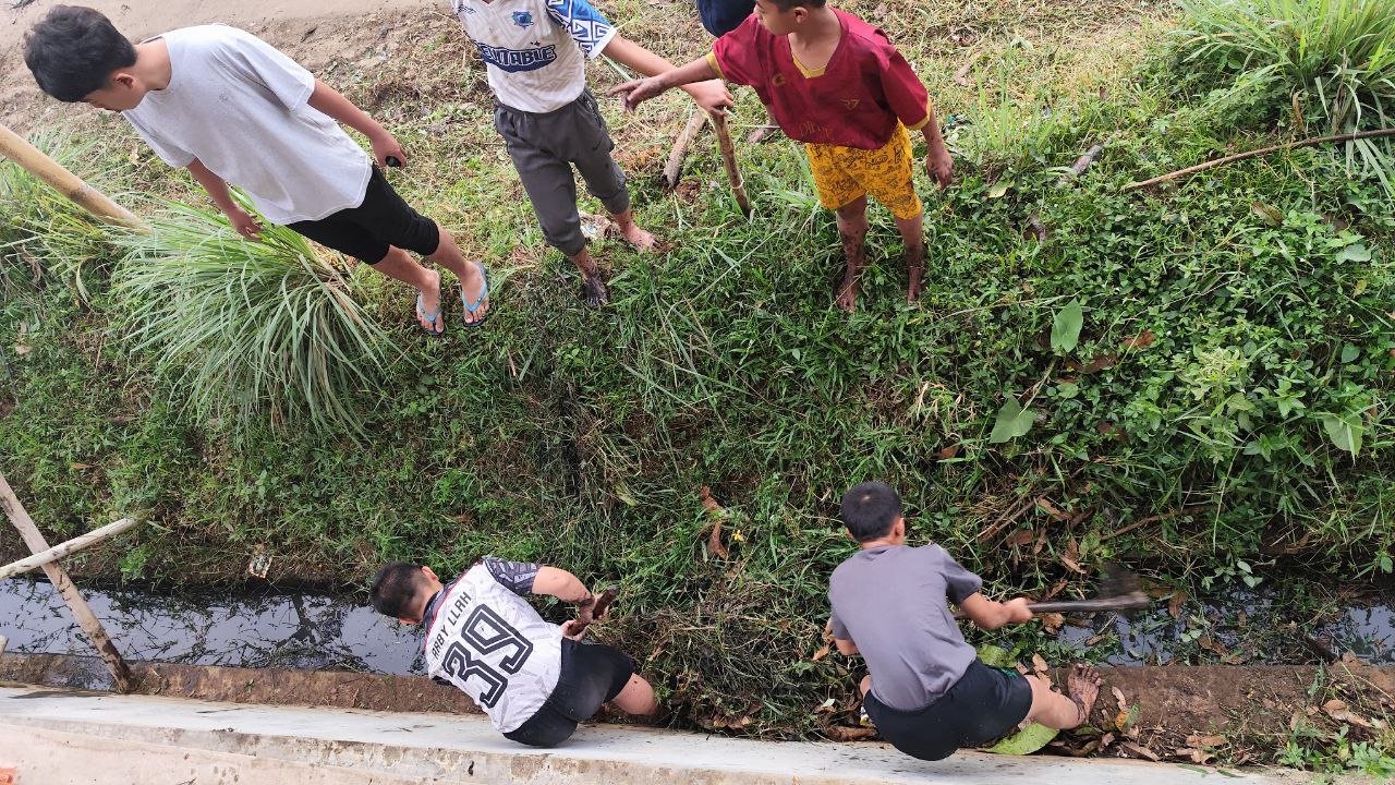 A group of people digging in the grass

AI-generated content may be incorrect.