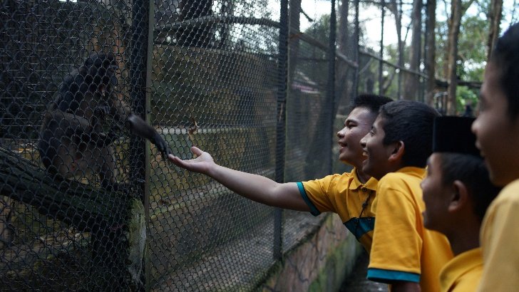 A couple of boys feeding a squirrel AI-generated content may be incorrect.