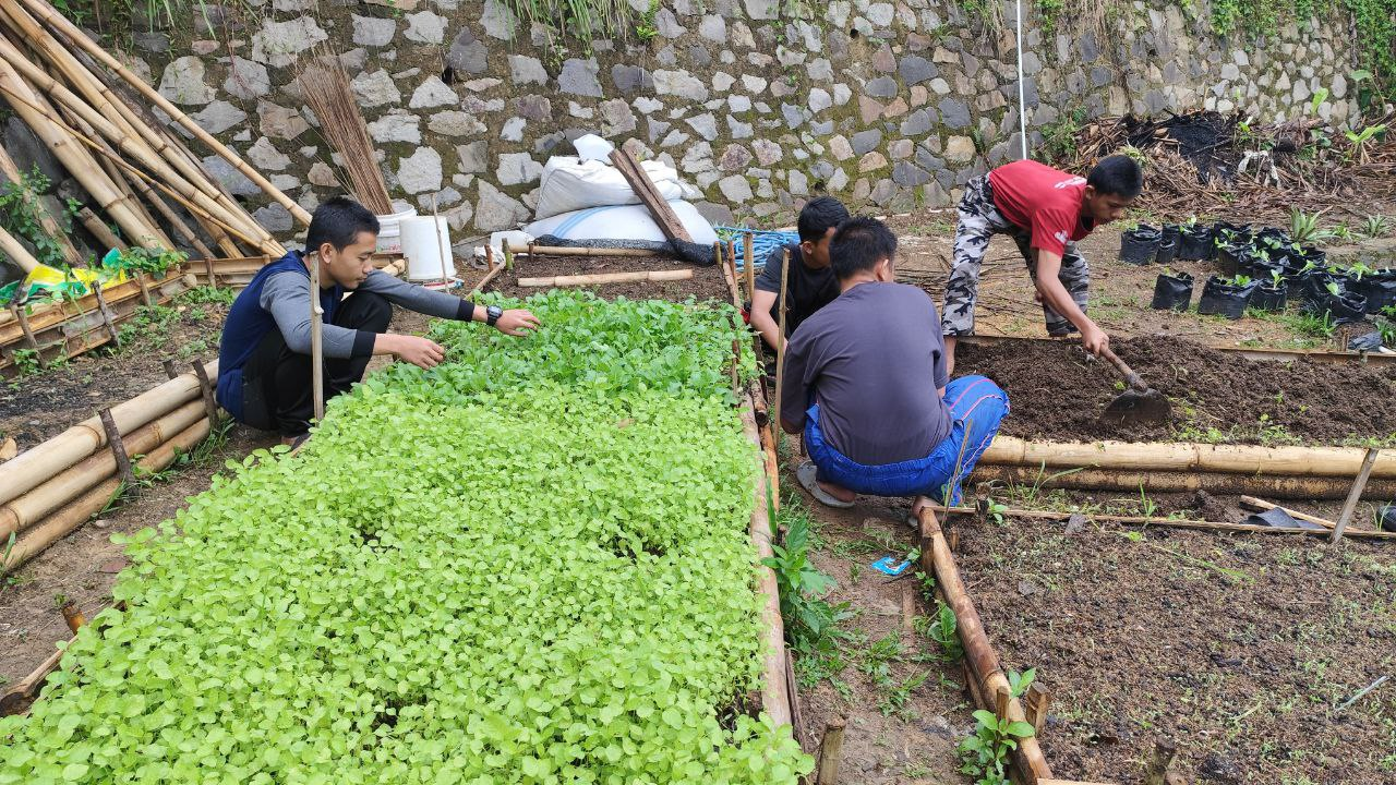Tetap Produktif di Waktu Senggang, Santri Pesantren Al Hilal Cililin Merawat Sayuran